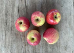 Apples (3x)
