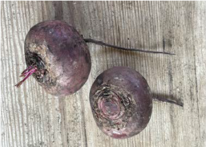 Beetroot (Red)