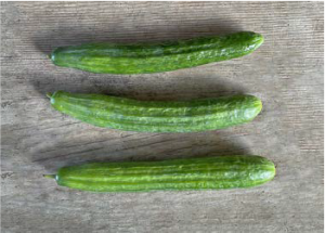 Cucumber (1x)
