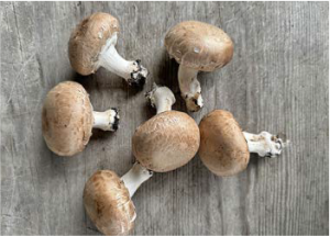 Mushrooms (Brown)