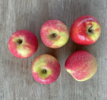 five organics apples on a wooden table